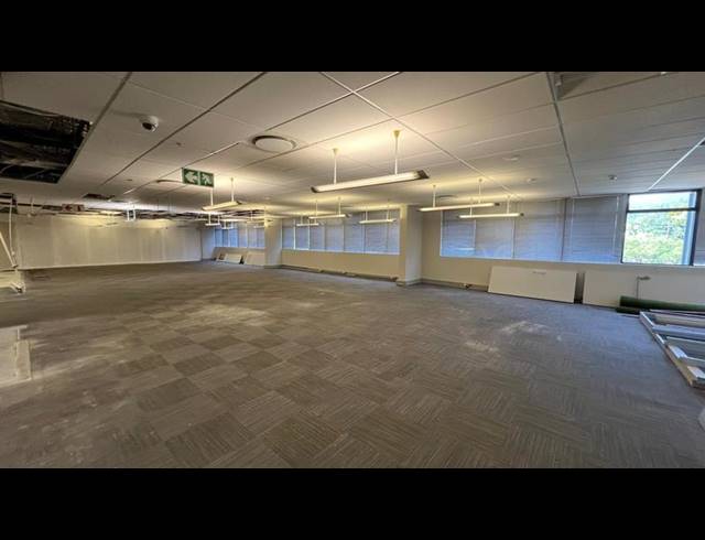 OFFICE PROPERTY TO RENT IN MONTROSE